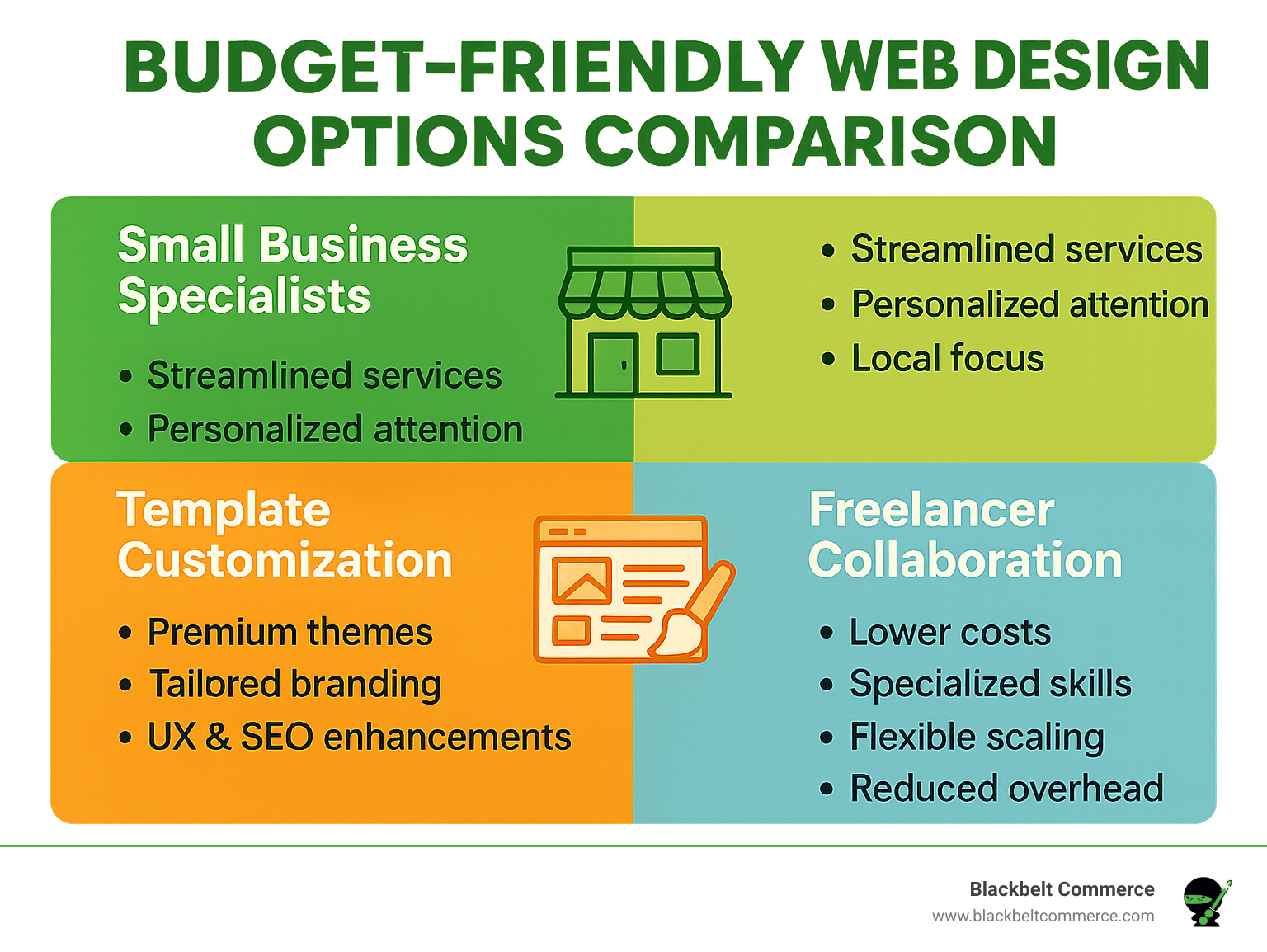 Budget-friendly web design options comparison - web designing agency infographic 