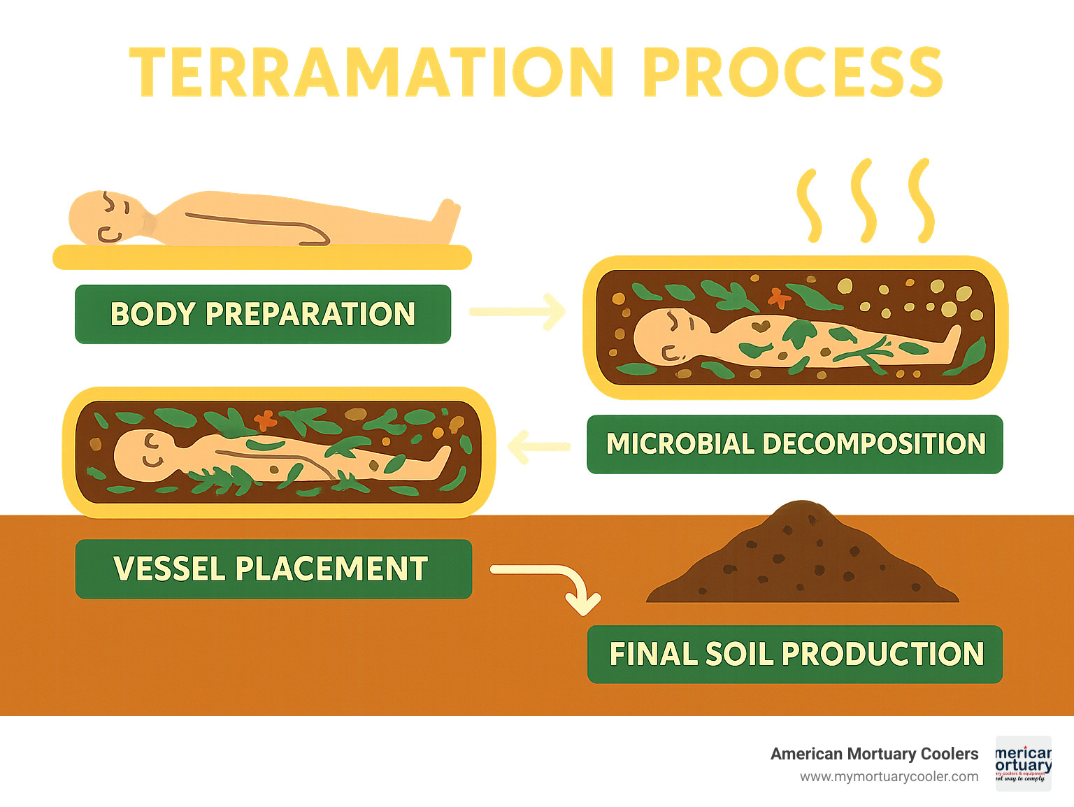Terramation process showing body preparation, vessel placement with organic materials, microbial decomposition, and final soil production - terramation infographic 