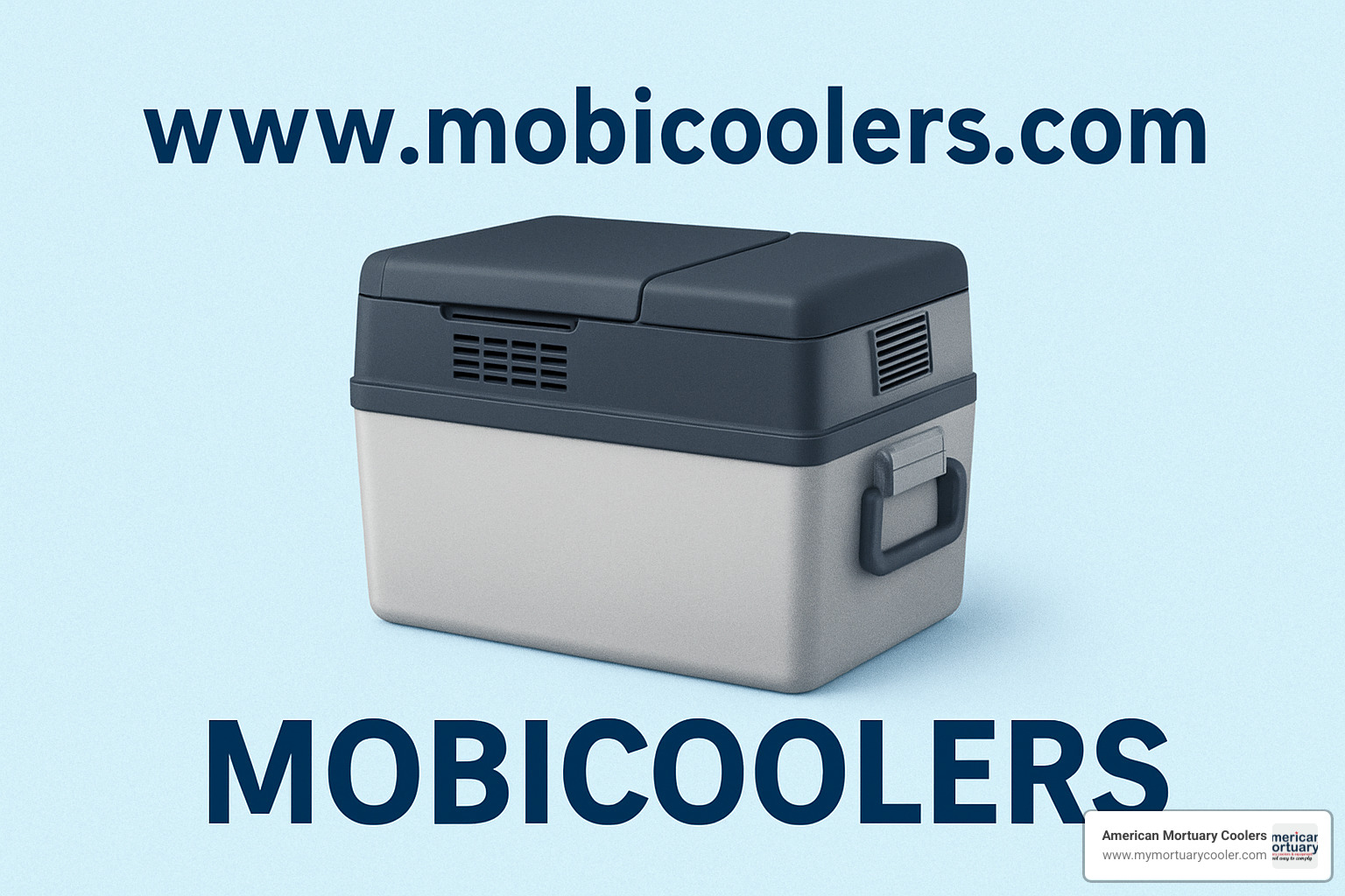 Portable cooler product lineup showing various models