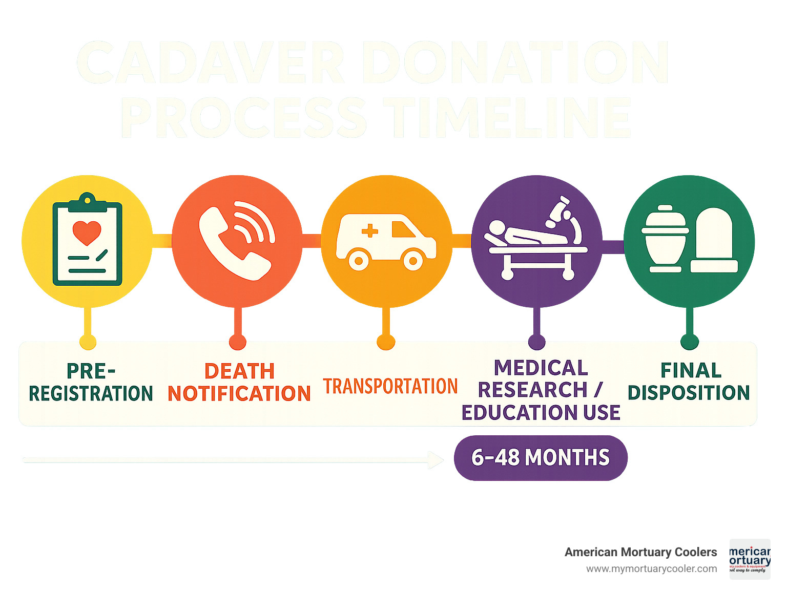 Cadaver Donation Process Timeline showing pre-registration, death notification, transportation, medical research/education use (6-48 months), and final disposition options - cadaver donation infographic 