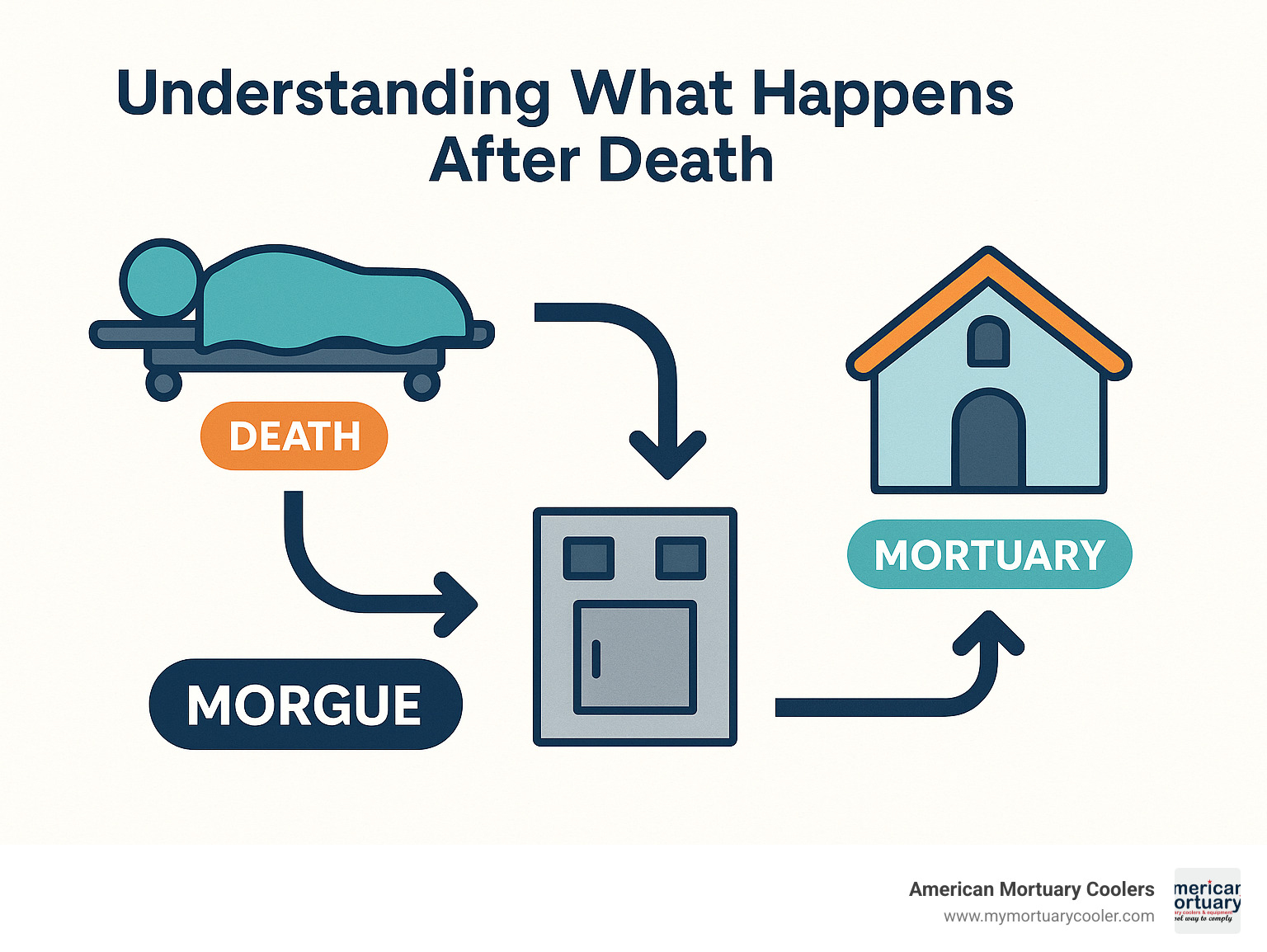 Diagram showing the journey of a body after death with pathways to morgue or mortuary - mortuary or morgue infographic 