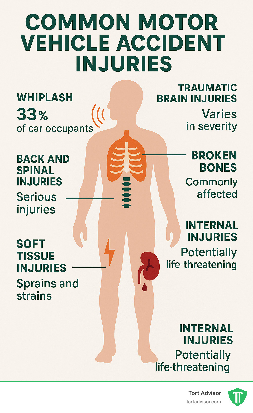 Anatomical diagram showing common motor vehicle accident injuries by body region, with statistics on frequency and severity for each injury type - common motor vehicle accident injuries infographic 