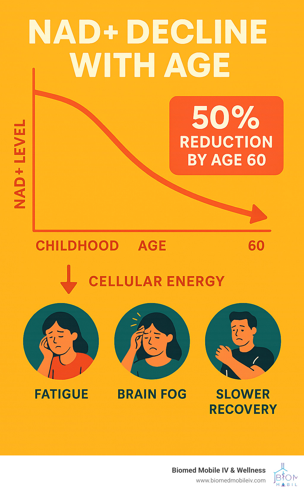 Infographic showing NAD+ decline with age from peak levels in childhood to 50% reduction by age 60, with arrows indicating cellular energy decrease and common symptoms like fatigue, brain fog, and slower recovery - nad iv therapy denver infographic 