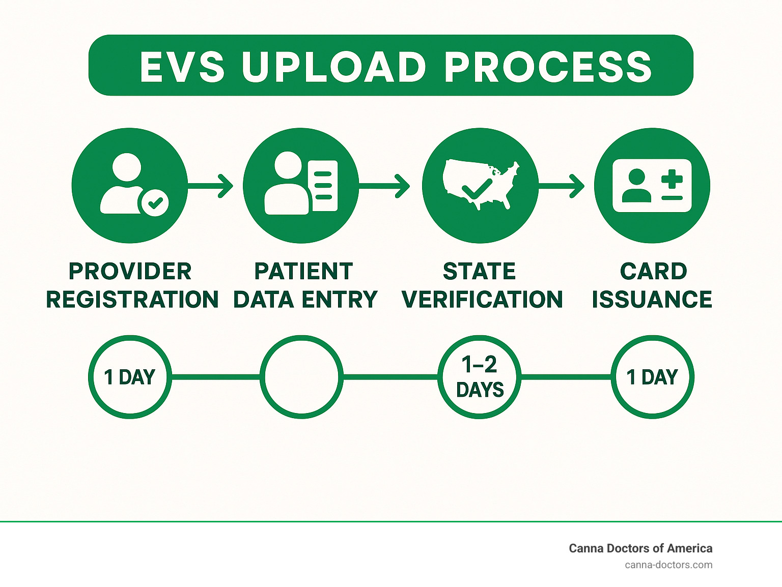 Detailed infographic showing the Electronic Verification System (EVS) upload process, including steps for provider registration, patient data entry, state verification, and final card issuance with timeline indicators - medical card near me infographic 