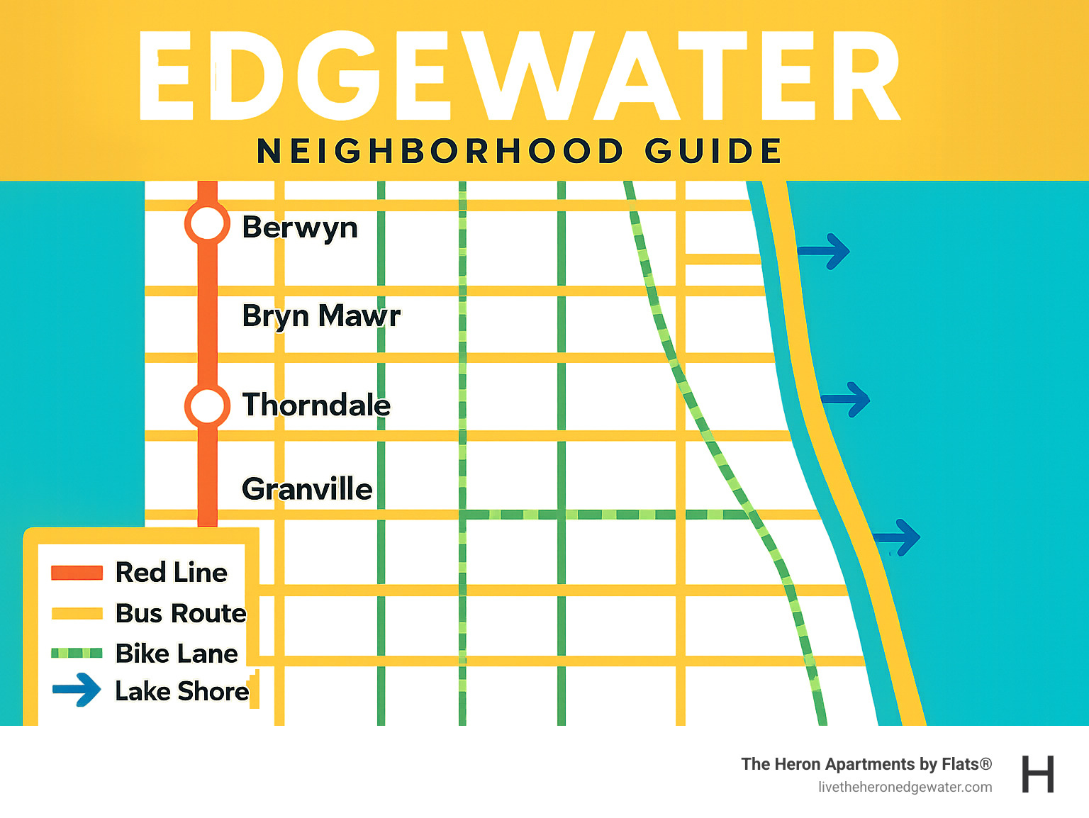 Transit map overlay showing Red Line stops, bus routes, bike lanes, and Lake Shore Drive access points throughout Edgewater - Edgewater neighborhood guide infographic 