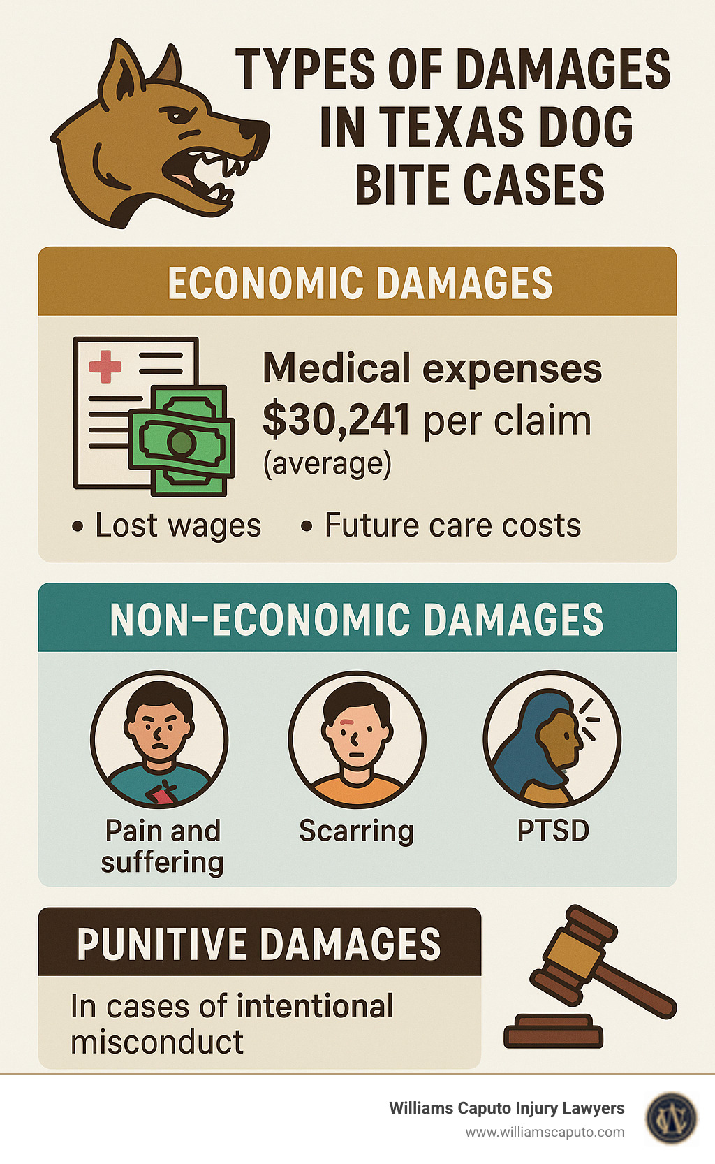 Infographic showing types of damages in Texas dog bite cases: economic damages including medical expenses averaging $30,241 per claim, lost wages, future care costs; non-economic damages including pain and suffering, scarring, PTSD; and punitive damages in cases of intentional misconduct - Dog bite lawyer Texas infographic 