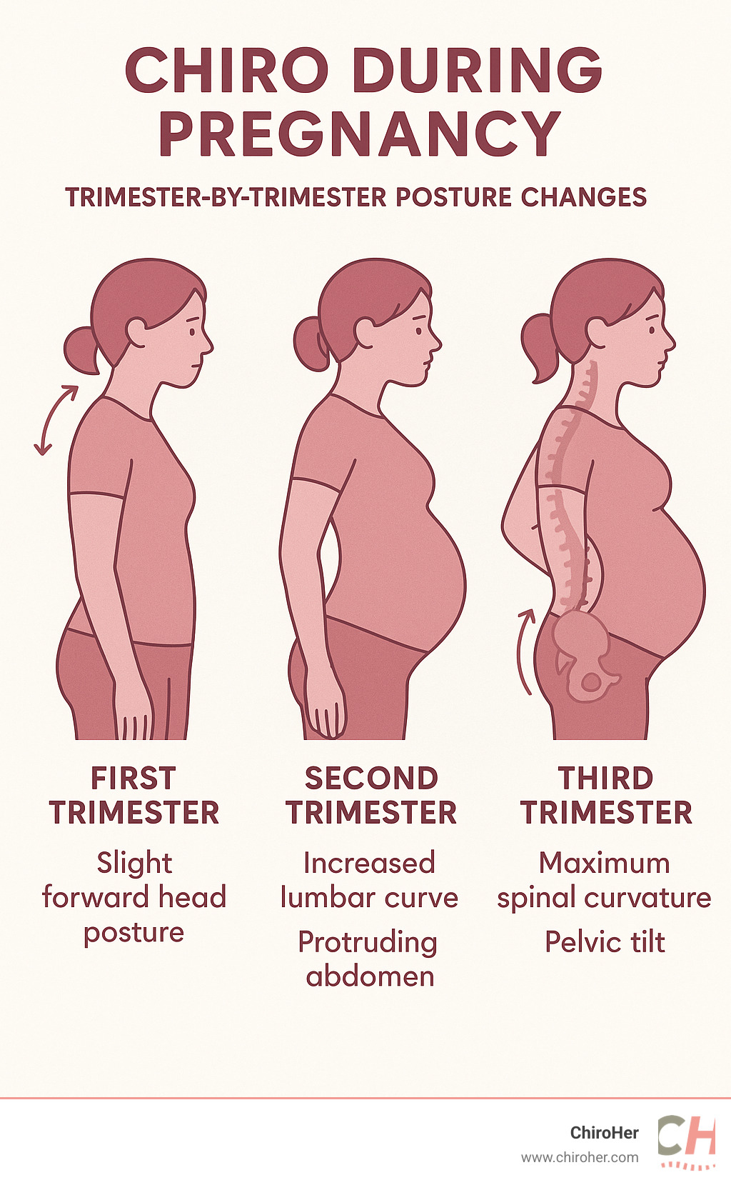 Infographic showing trimester-by-trimester posture changes during pregnancy, including first trimester slight forward head posture, second trimester increased lumbar curve and protruding abdomen, and third trimester maximum spinal curvature with pelvic tilt changes - chiro during pregnancy infographic 