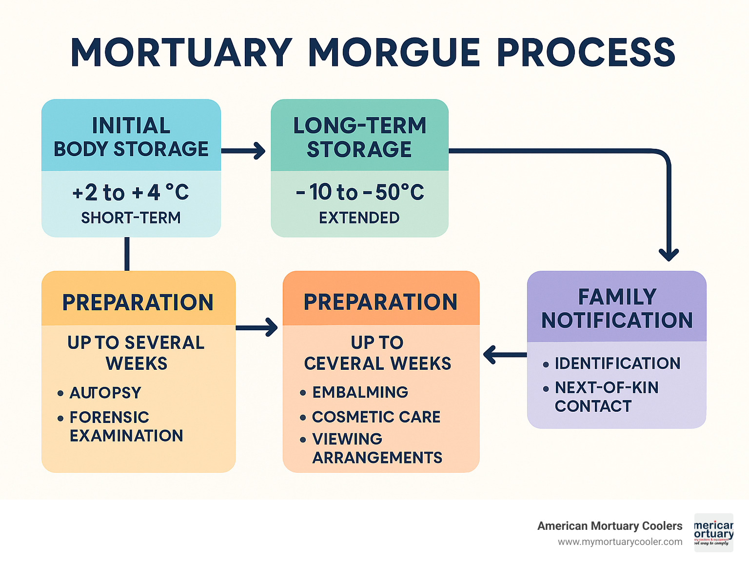 Comprehensive flowchart showing the complete mortuary morgue process from initial body storage through family notification, including temperature requirements, storage duration, and preparation services available at each stage - mortuary morgue infographic 