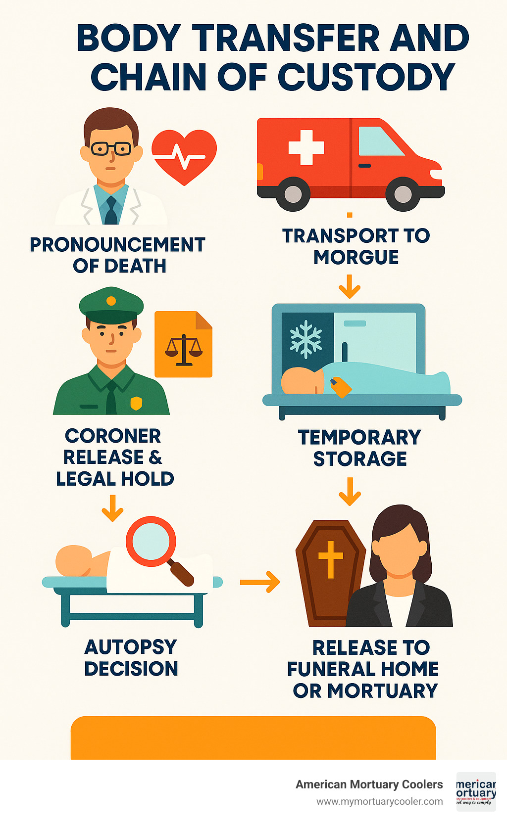 body transfer and chain of custody infographic - mortuary morgue infographic 