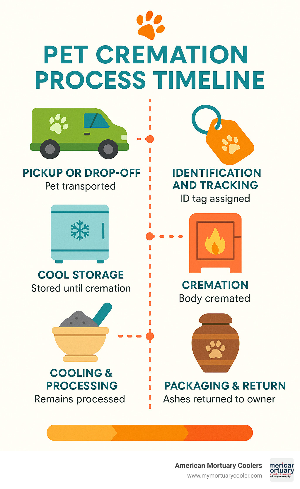 pet cremation process timeline - animal crematorium infographic 