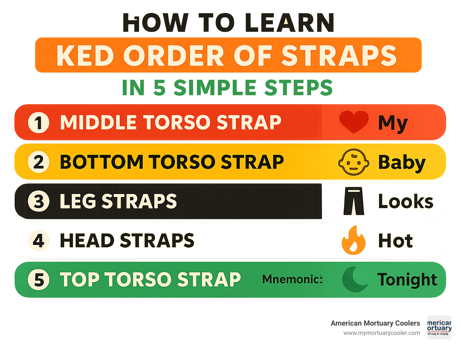 Infographic illustrating the 5-step KED strap order: Middle, Bottom, Legs, Head, Top, with color codes and mnemonic icons - ked order of straps infographic 