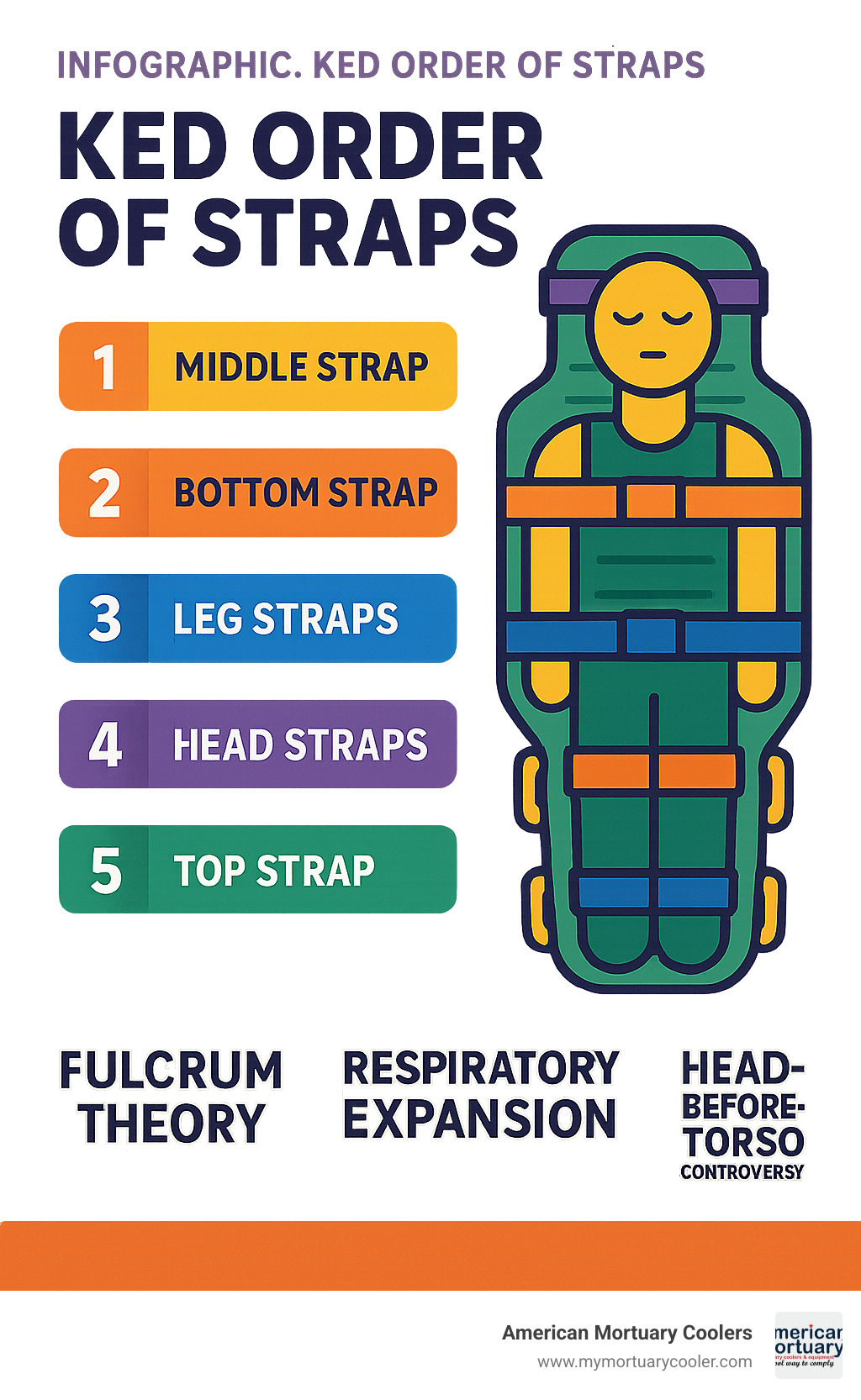 Infographic: KED strap order comparison table - ked order of straps infographic 