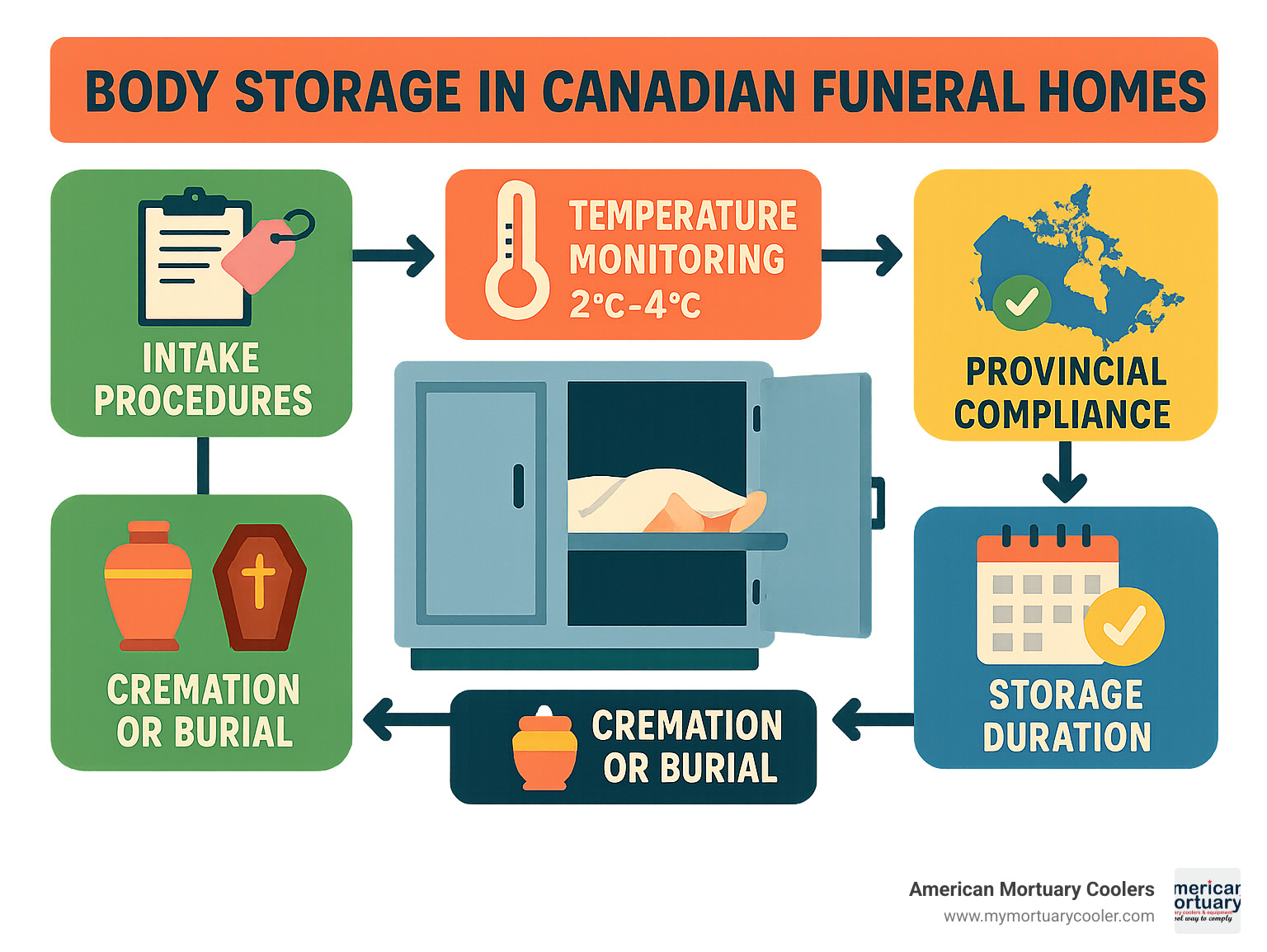 Infographic showing the complete workflow of body storage in Canadian funeral homes, including intake procedures, temperature monitoring requirements, provincial compliance checkpoints, storage duration guidelines, and preparation for cremation or burial services - mortuary coolers canada infographic 