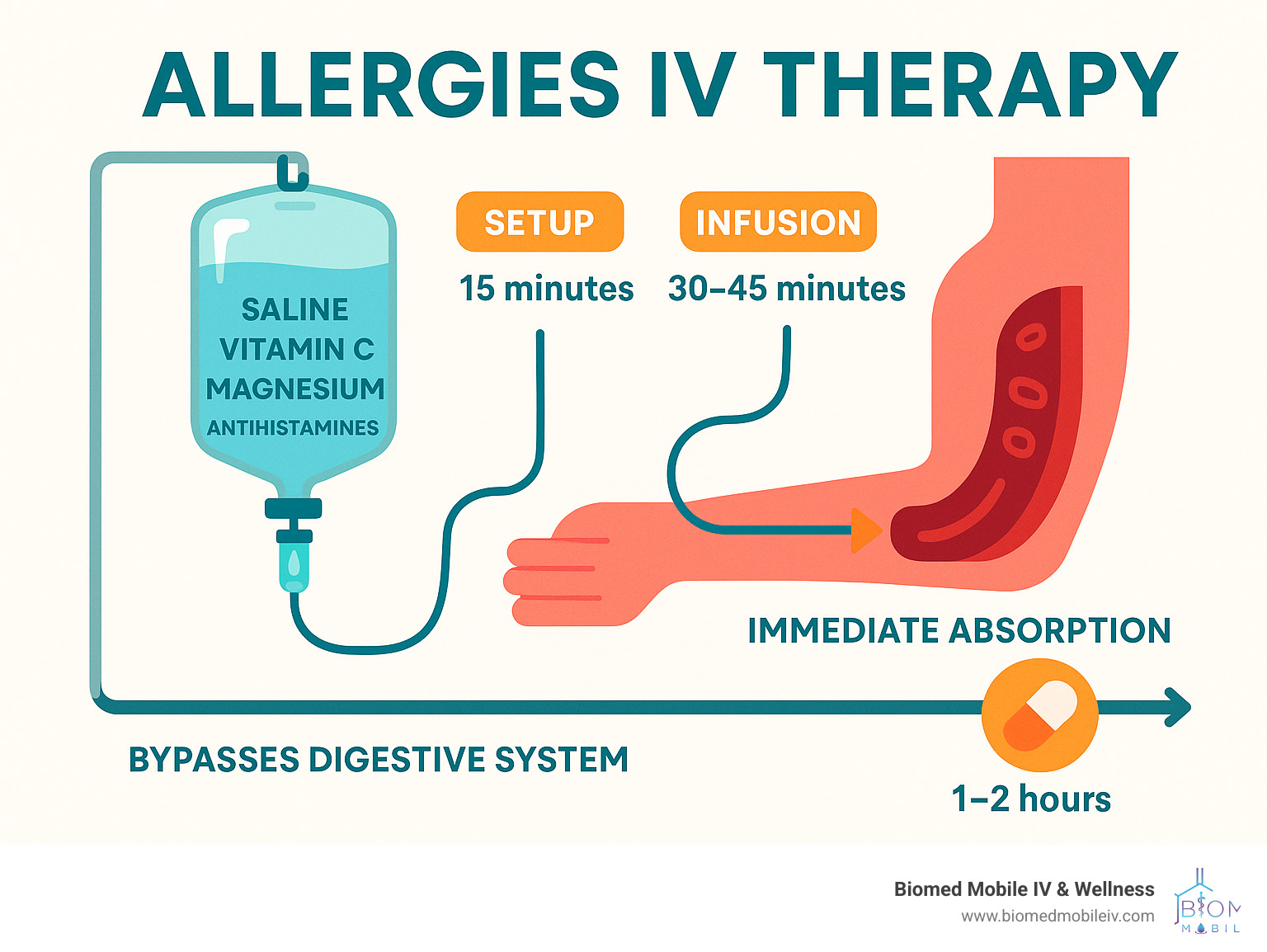 Detailed infographic showing the allergies IV therapy process: IV bag containing saline, vitamin C, magnesium, and antihistamines flowing through tubing into bloodstream, with timeline showing 15 minutes for setup, 30-45 minutes for infusion, and immediate absorption bypassing digestive system, compared to oral medications taking 1-2 hours to absorb through stomach - allergies iv therapy infographic 