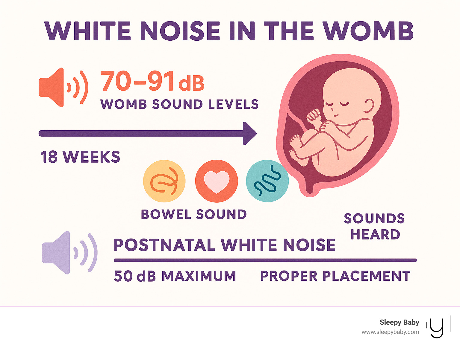Infographic showing fetal hearing development timeline from 18 weeks through birth, including womb sound levels (70-91 dB), dominant sound types (bowel sounds, heartbeat, blood flow), and safe postnatal white noise guidelines (50 dB maximum, proper placement) - white noise in the womb infographic 