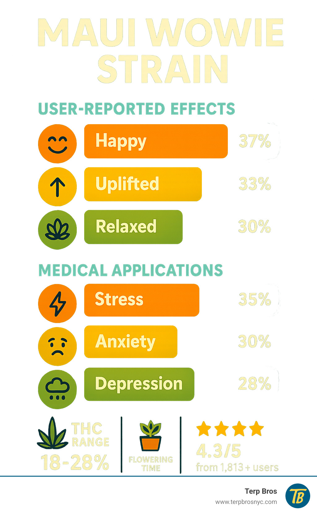 Statistical comparison showing user-reported effects of Maui Wowie: 37% report feeling happy, 33% uplifted, 30% relaxed, with medical applications including 35% for stress relief, 30% for anxiety, and 28% for depression. Additional data shows THC range 18-28%, flowering time 10-12 weeks, and 4.3/5 star rating from 1,813+ users - maui wowie strain infographic 