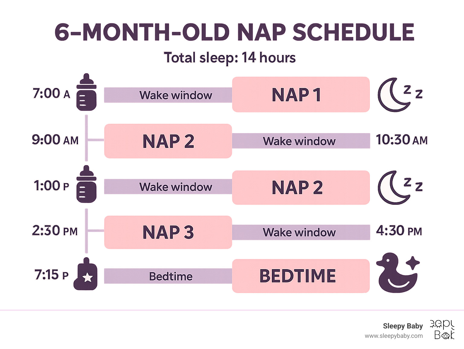 Detailed breakdown of 6-month-old daily sleep schedule showing three naps, wake windows, feeding times, and bedtime routine with total sleep hours - 6 month old nap schedule infographic 