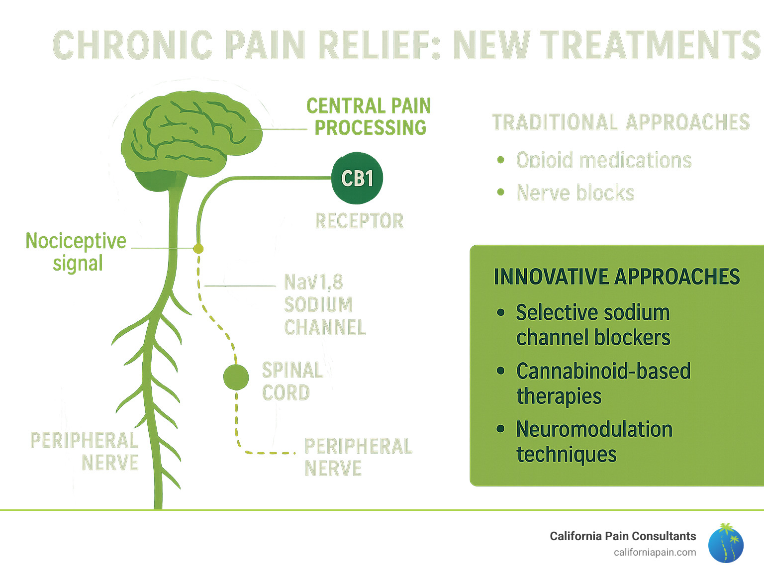 Infographic showing chronic pain pathways including nociceptive signals from peripheral nerves through spinal cord to brain, with new treatment targets marked at Nav1.8 sodium channels, CB1 receptors, and central pain processing areas, alongside traditional vs innovative treatment approaches - chronic pain relief new treatments infographic Infographic showing chronic pain pathways including nociceptive signals from peripheral nerves through spinal cord to brain, with new treatment targets marked at Nav1.8 sodium channels, CB1 receptors, and central pain processing areas, alongside traditional vs innovative treatment approaches - chronic pain relief new treatments infographic