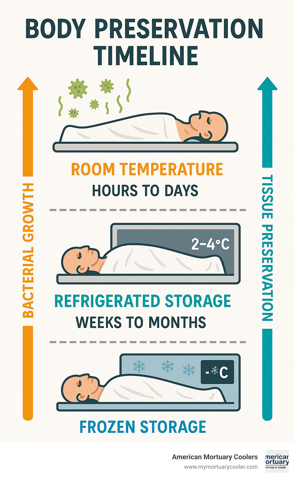 Infographic showing body preservation timeline comparing room temperature decomposition (hours to days) versus refrigerated storage at 2-4°C (weeks to months) versus frozen storage at negative temperatures (months to years), with visual indicators for bacterial growth rates and tissue preservation quality - body in morgue fridge infographic 