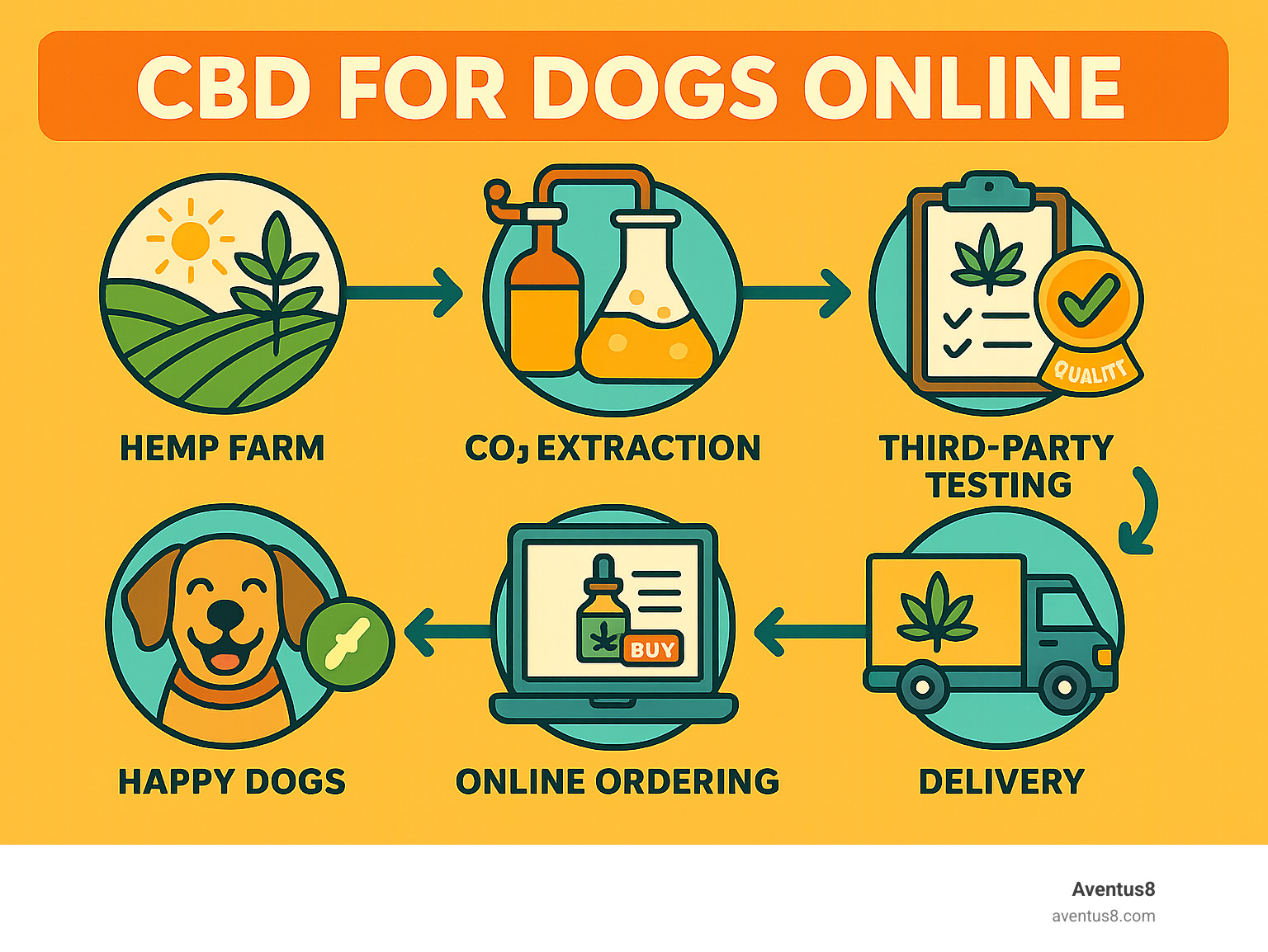 Infographic showing the complete journey of CBD for dogs from hemp farm cultivation through CO2 extraction, third-party lab testing, online ordering, and delivery to happy dogs, with icons representing each step including quality certifications and dosage guidelines - CBD for dogs online infographic 