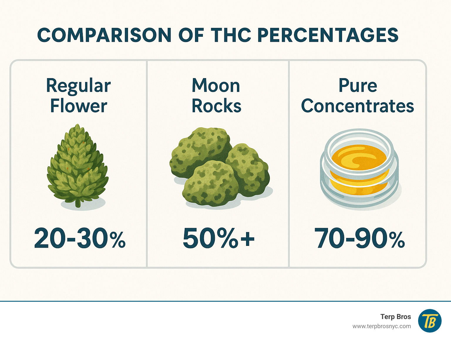 Comparison table showing THC percentages: Regular flower 20-30%, Moon rocks 50%+, Pure concentrates 70-90% - moon rock weed infographic 