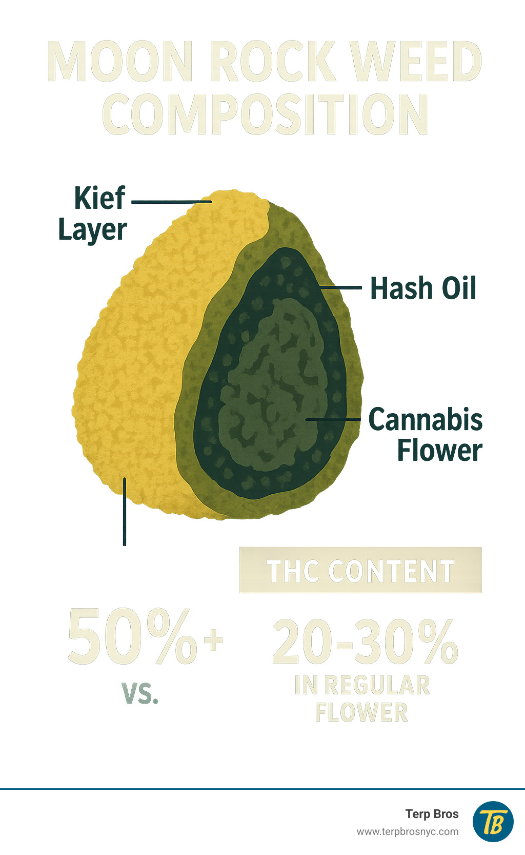 Detailed infographic showing moon rock weed composition with three layers: cannabis flower base, hash oil middle coating, and outer kief layer, including THC percentages and comparison to regular flower - moon rock weed infographic 