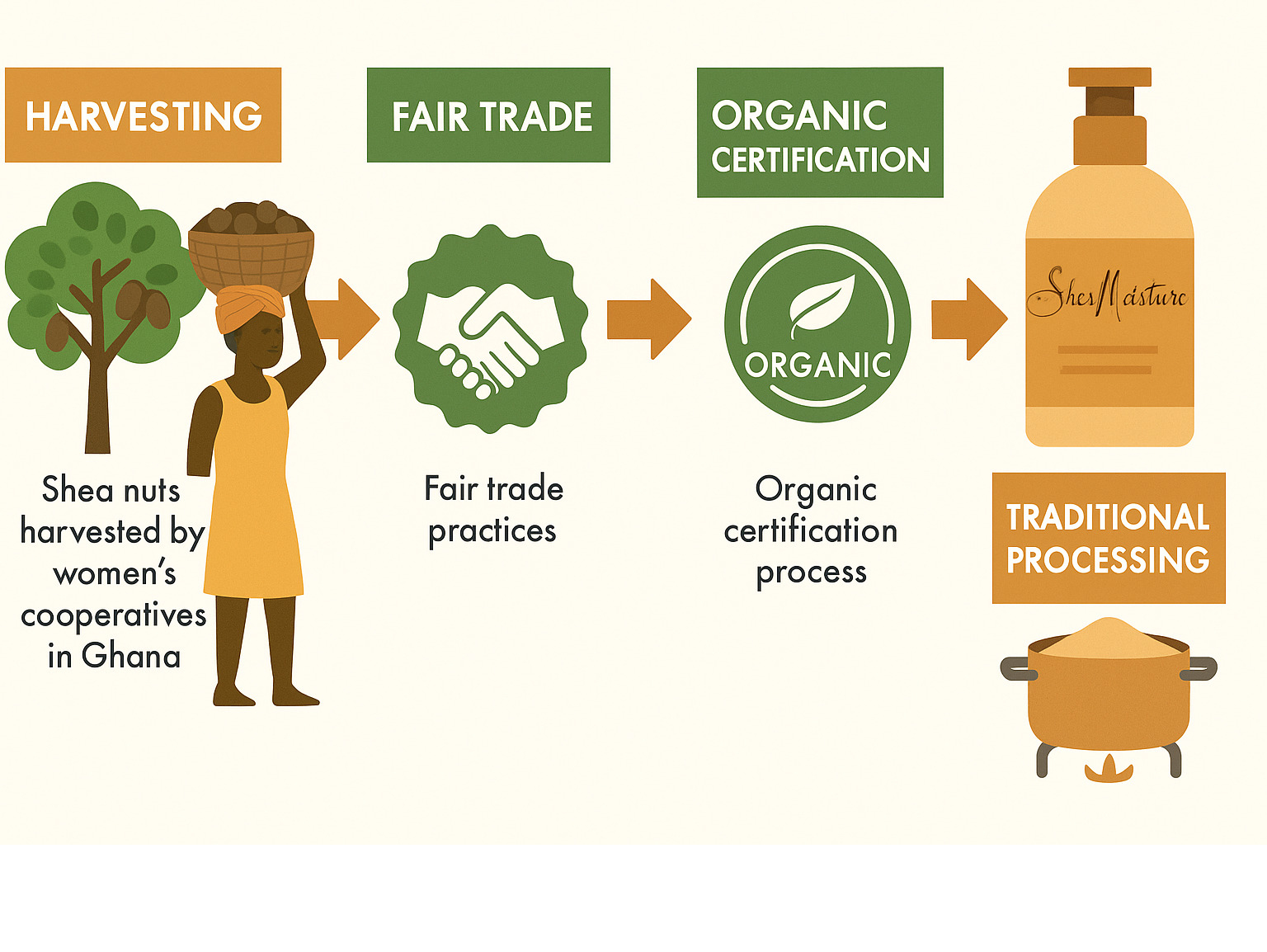 Infographic showing the journey from shea nuts harvested by women's cooperatives in Ghana to finished SheaMoisture products, highlighting fair trade practices, organic certification process, and key nutrients preserved through traditional processing methods - shea moisture infographic Infographic showing the journey from shea nuts harvested by women's cooperatives in Ghana to finished SheaMoisture products, highlighting fair trade practices, organic certification process, and key nutrients preserved through traditional processing methods - shea moisture infographic