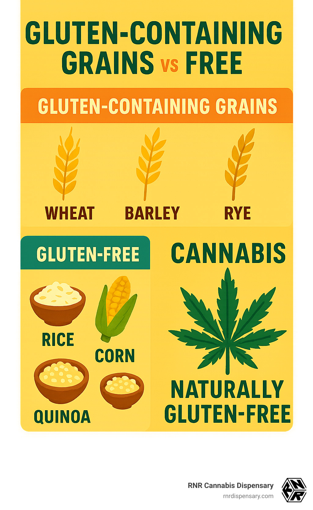 Detailed infographic showing the difference between gluten-containing grains like wheat, barley and rye versus gluten-free alternatives like rice, corn and quinoa, with cannabis plant highlighted as naturally gluten-free - gluten free edibles infographic 