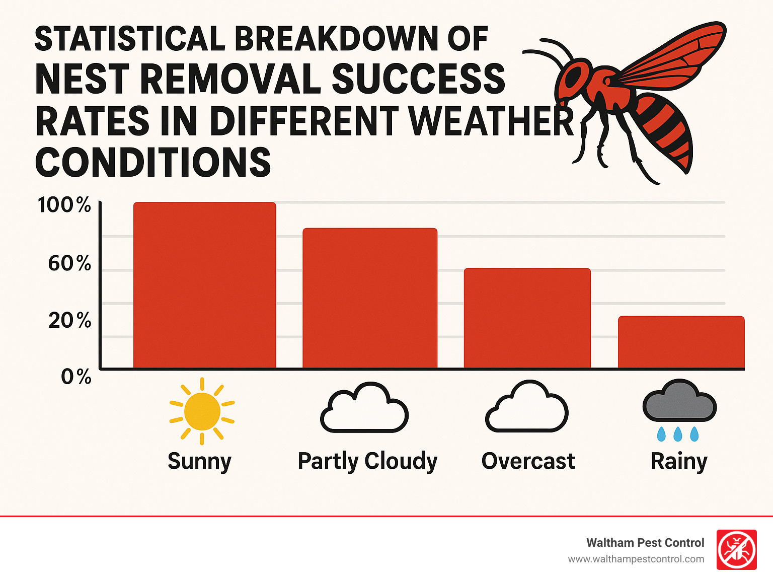 Statistical breakdown of nest removal success rates in different weather conditions - can hornets fly in the rain infographic 