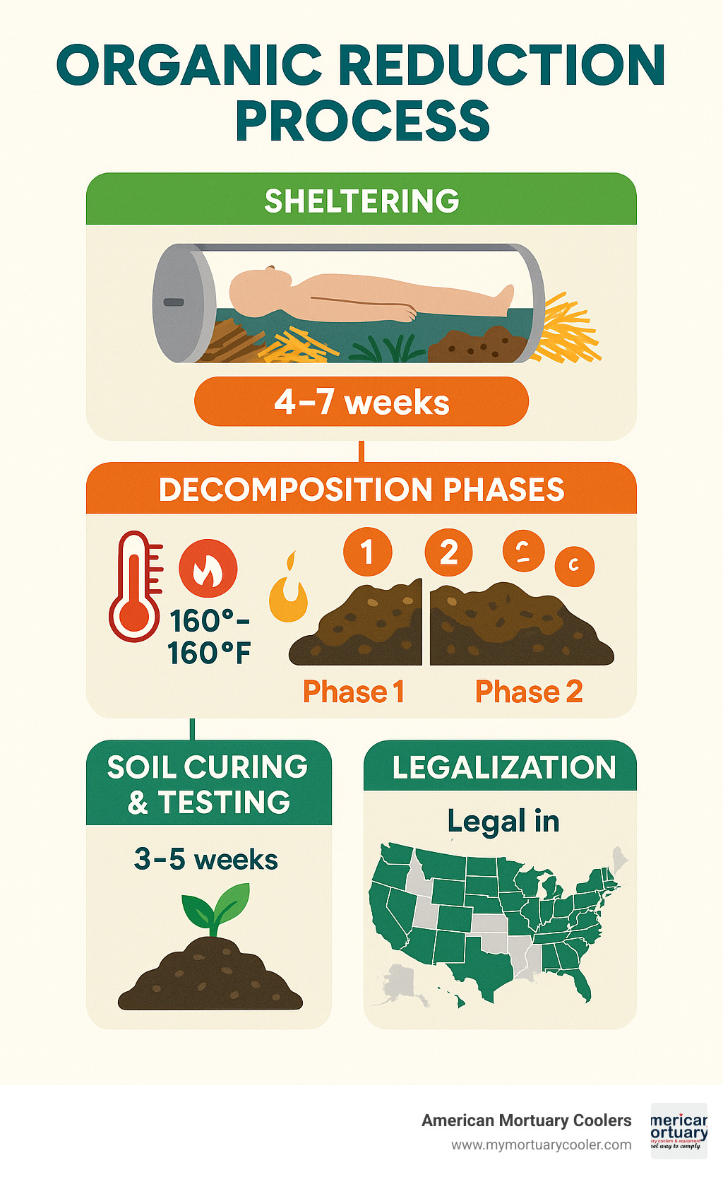 Detailed infographic showing the organic reduction process timeline from initial sheltering through decomposition phases to final soil curing and testing, including temperature ranges, materials used, and state-by-state legalization map - organic reduction infographic 