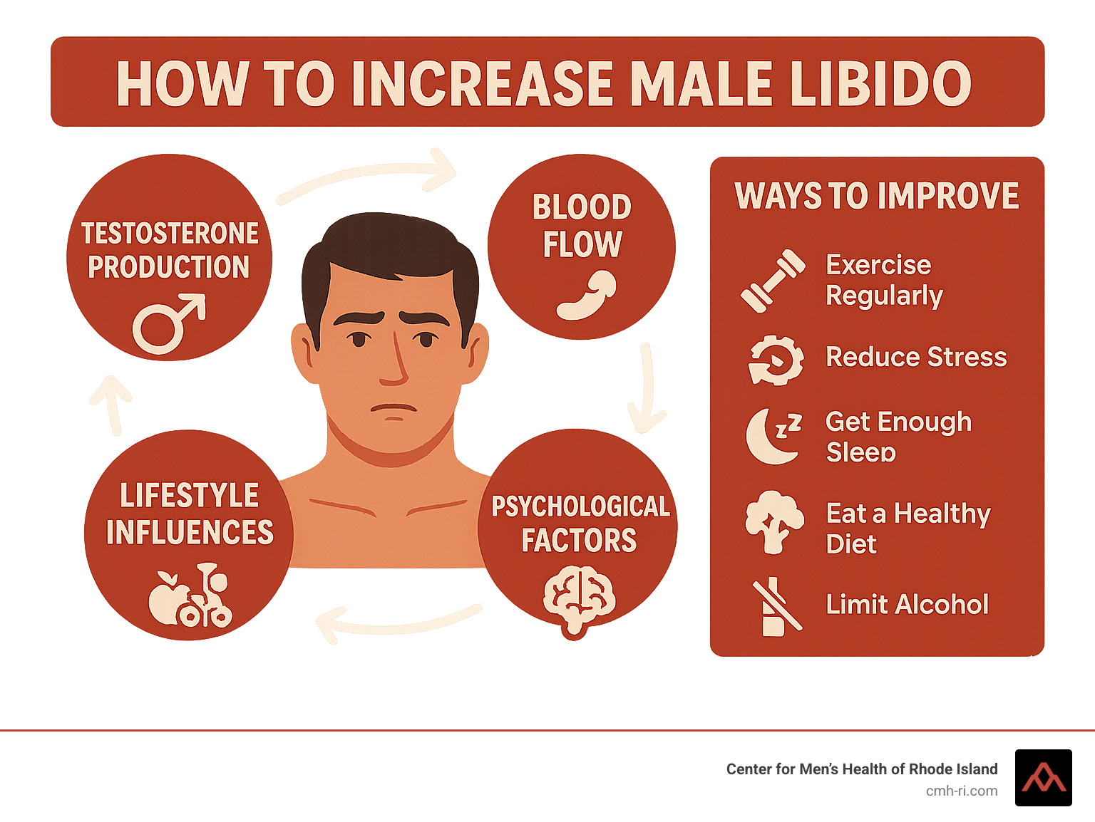 Comprehensive infographic showing the male libido cycle including testosterone production, blood flow, psychological factors, and lifestyle influences with actionable improvement strategies - how to increase male libido infographic 
