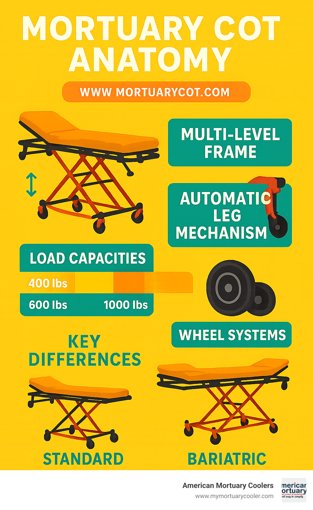 Detailed comparison infographic showing mortuary cot anatomy including multi-level frames, automatic leg mechanisms, load capacities from 400-1000+ lbs, wheel systems, and key differences between standard and bariatric models - www.mortuarycot.com top rated mortuary cots and stretchers  infographic 