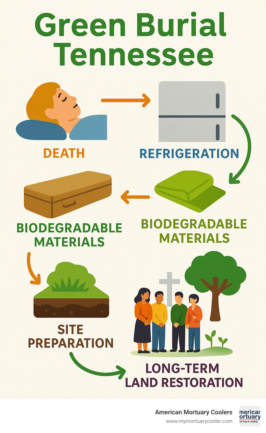 Infographic showing the complete process from death to conservation burial, including refrigeration requirements, biodegradable materials selection, site preparation, ceremony elements, and long-term land restoration outcomes - green burial Tennessee infographic 