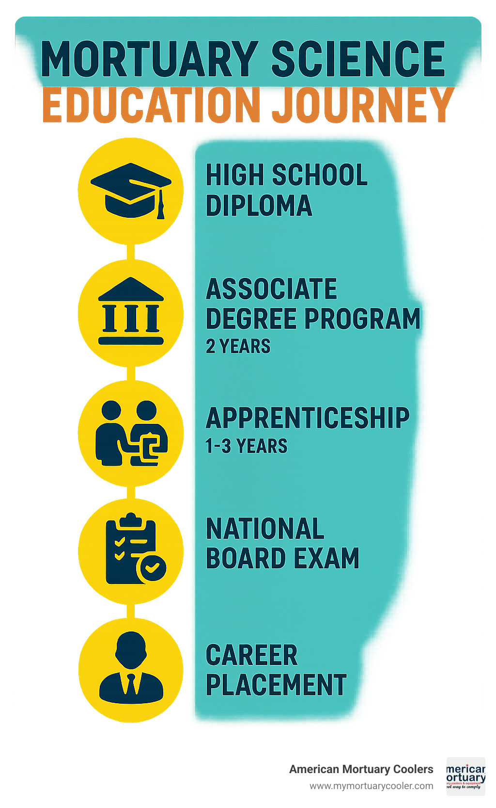Infographic showing the complete mortuary science education journey from high school diploma through associate degree program, apprenticeship, National Board Exam, state licensing, and career placement with timeline and requirements for each step - mortuary science education infographic 