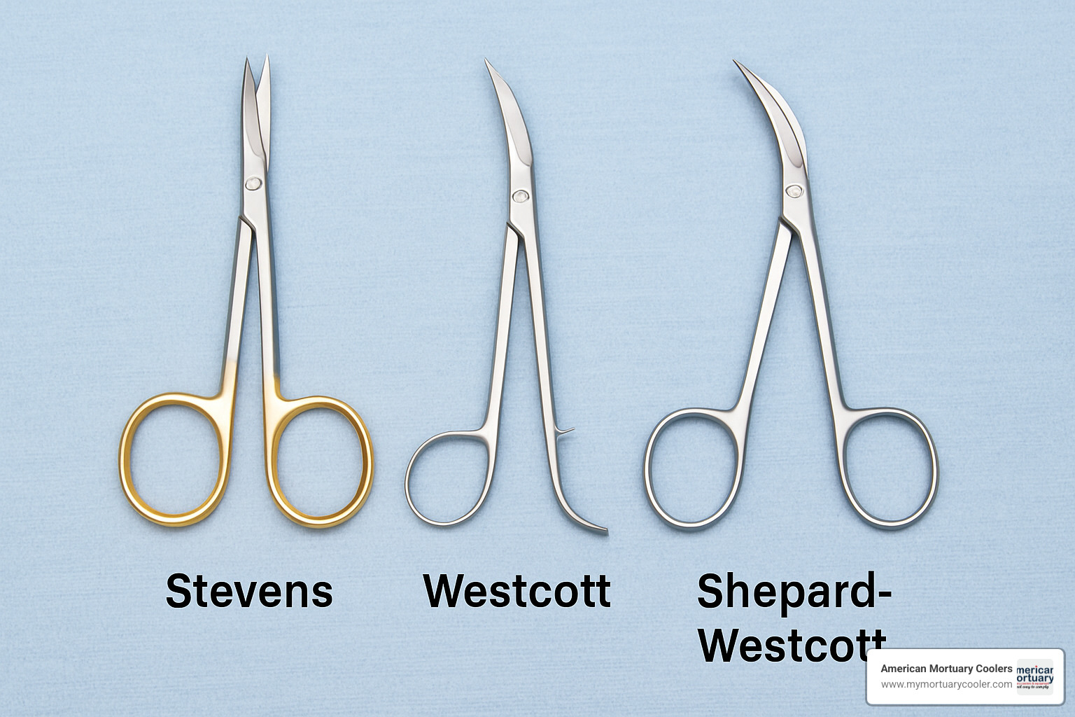 Comparison of different tenotomy scissor types showing Stevens, Westcott, and Shepard-Westcott models with their distinctive features - tenotomy scissor