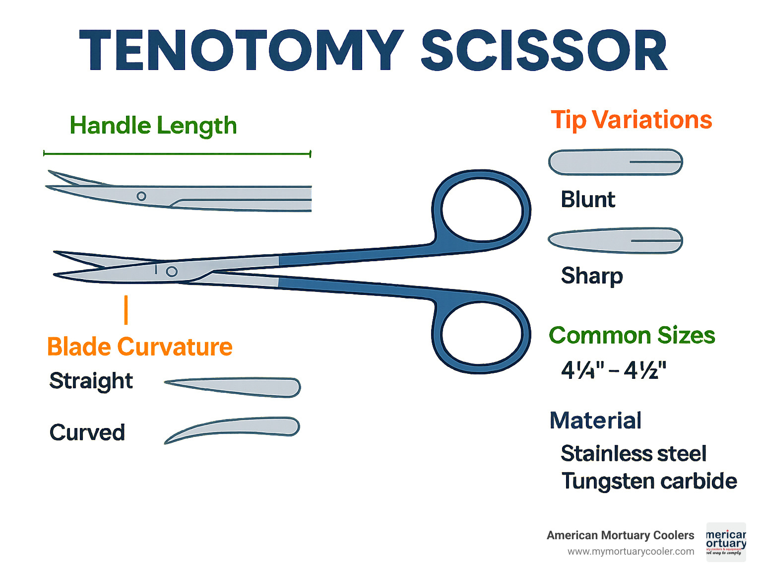Detailed breakdown of tenotomy scissor components showing handle length, blade curvature options, tip variations, common sizes, and material specifications - tenotomy scissor infographic 