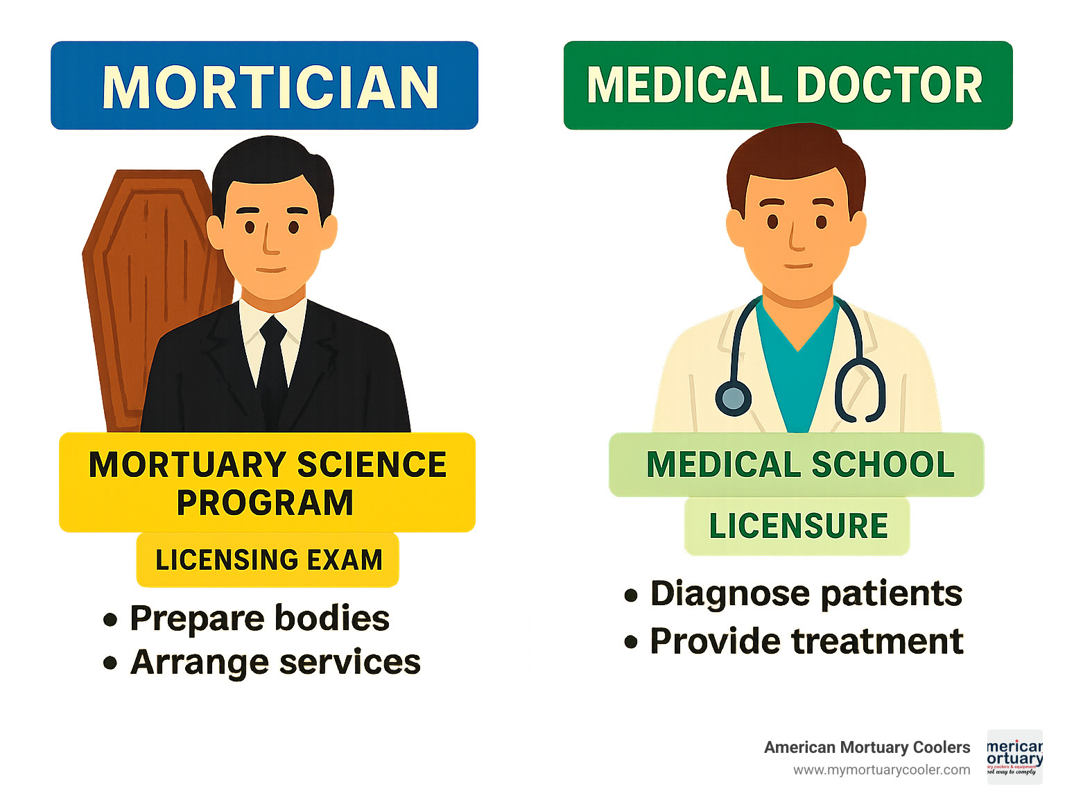 Infographic showing the educational pathways and roles of morticians versus medical doctors, including degree requirements, licensing processes, and primary job responsibilities for each profession - are morticians doctors infographic 