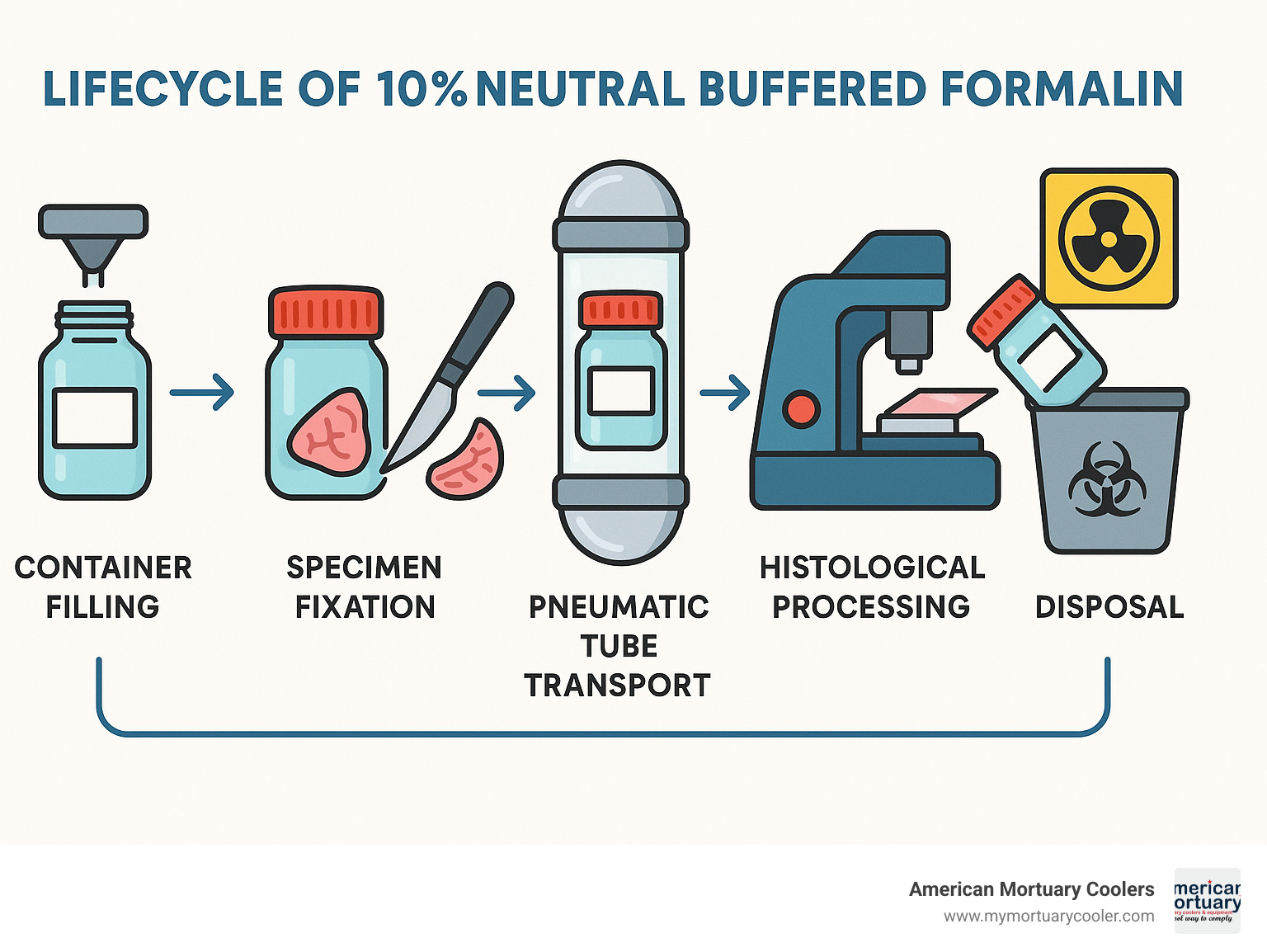 Infographic showing the lifecycle of 10% neutral buffered formalin from container filling through specimen fixation, transport via pneumatic tubes, histological processing, and final disposal with proper ventilation and safety protocols - formalin containers infographic 
