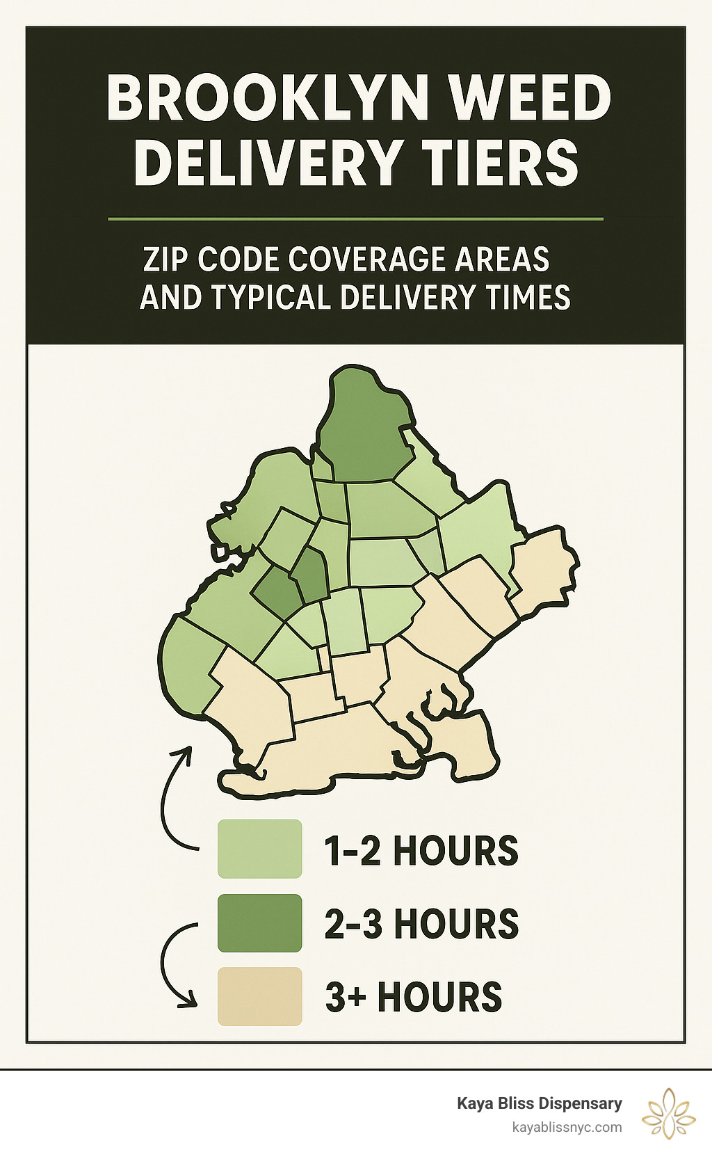 Infographic showing Brooklyn zip code delivery tiers with coverage areas and typical delivery times - brooklyn weed delivery service infographic 