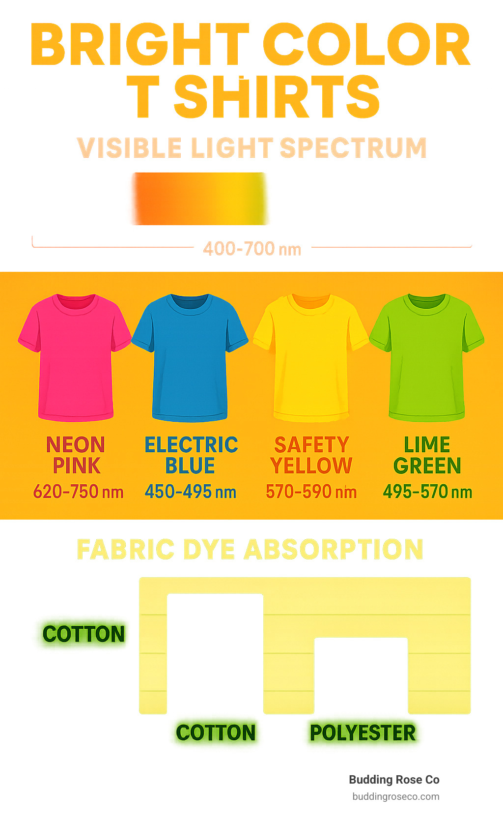 Infographic showing the visible light spectrum and how fabric dyes create bright colors, including wavelength ranges for neon pink (620-750nm), electric blue (450-495nm), safety yellow (570-590nm), and lime green (495-570nm), plus fabric dye absorption rates for cotton vs polyester materials - bright color t shirts infographic 