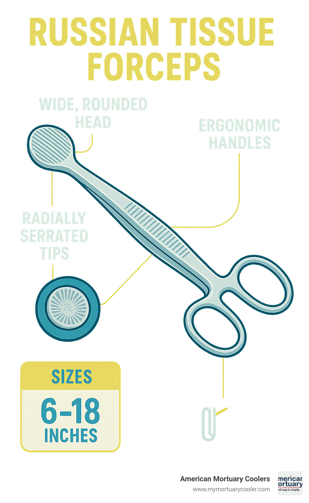 Detailed infographic showing Russian tissue forcep anatomy with labeled parts including wide rounded head, radially serrated tips, ergonomic handles, and size specifications ranging from 6-18 inches - russian tissue forcep infographic 