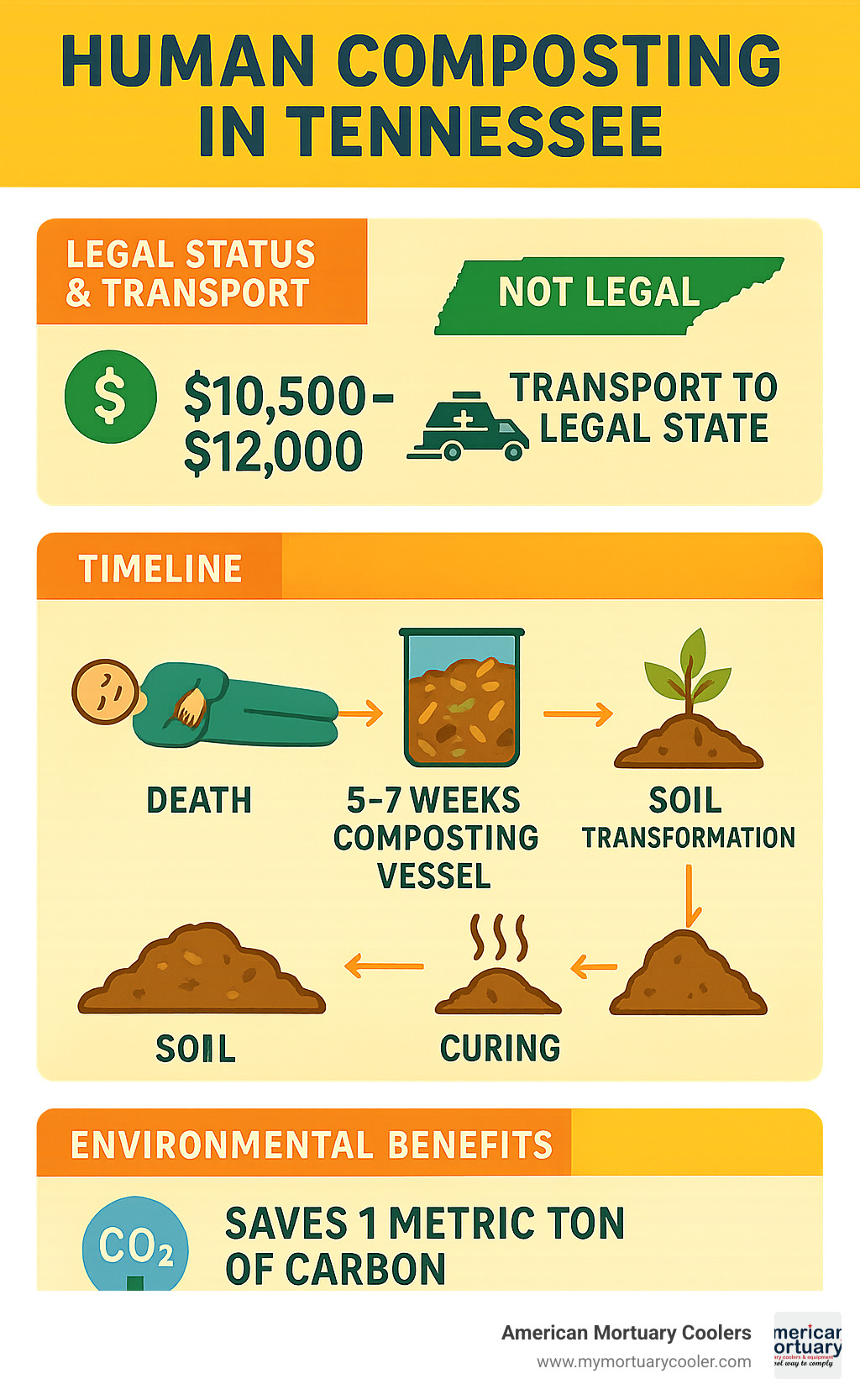 Comprehensive infographic showing the human composting process timeline from death through soil change, including legal requirements, transport logistics, costs breakdown, and environmental benefits specific to Tennessee residents - human composting Tennessee infographic 