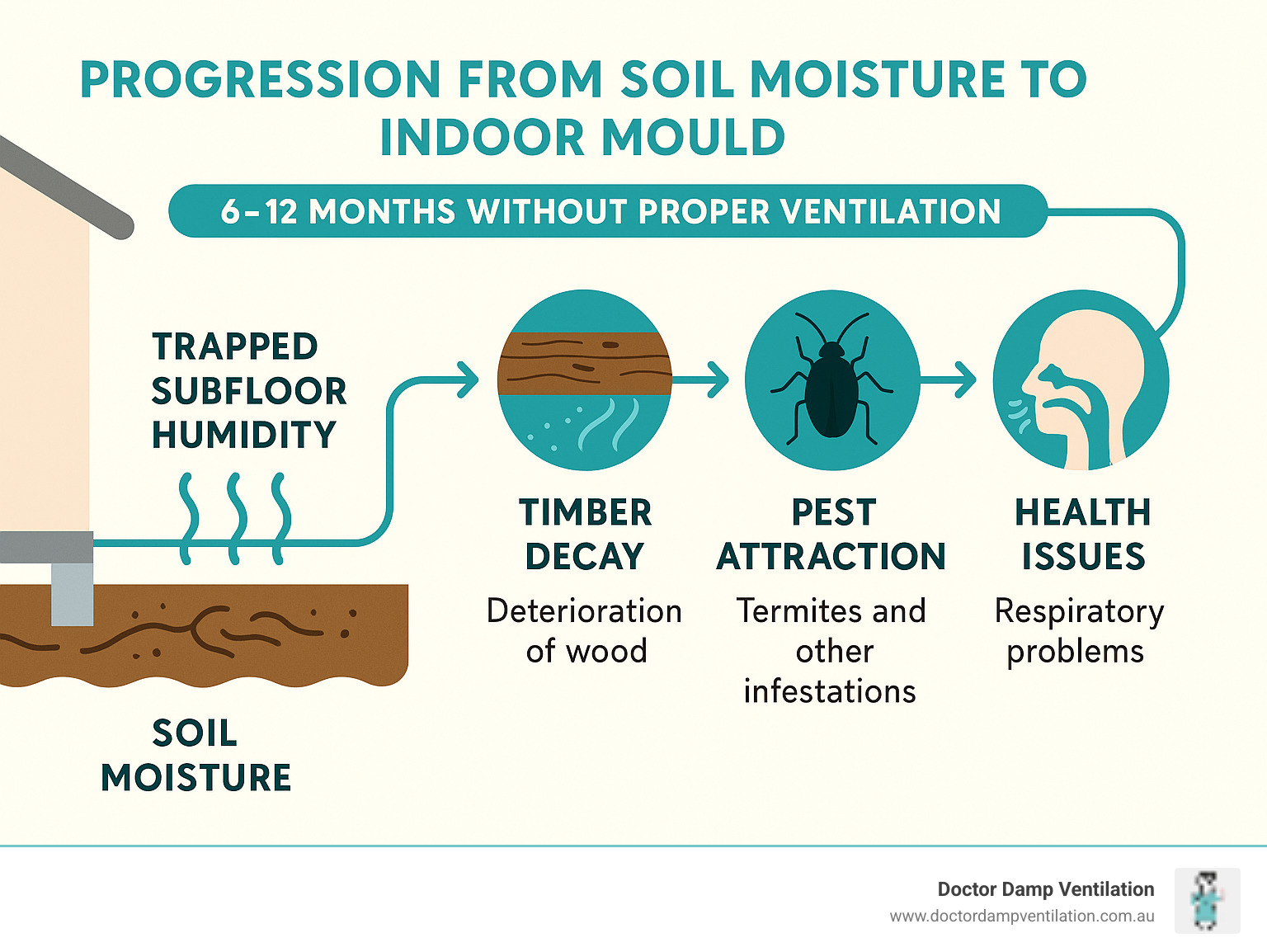 Infographic showing the progression from soil moisture to indoor mould problems, with timeline showing how trapped subfloor humidity leads to timber decay, pest attraction, and health issues within 6-12 months without proper ventilation - subfloor ventilation systems infographic Infographic showing the progression from soil moisture to indoor mould problems, with timeline showing how trapped subfloor humidity leads to timber decay, pest attraction, and health issues within 6-12 months without proper ventilation - subfloor ventilation systems infographic