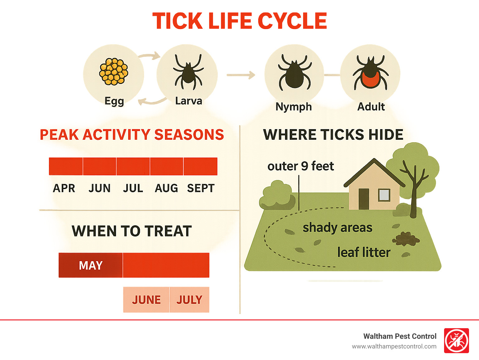 Comprehensive infographic showing tick lifecycle stages from egg to adult, peak activity seasons (April-September with May-July nymph peak), preferred hiding spots in yards (outer 9 feet, shady areas, leaf litter), and treatment timing windows for maximum effectiveness - how to treat yard for ticks infographic 