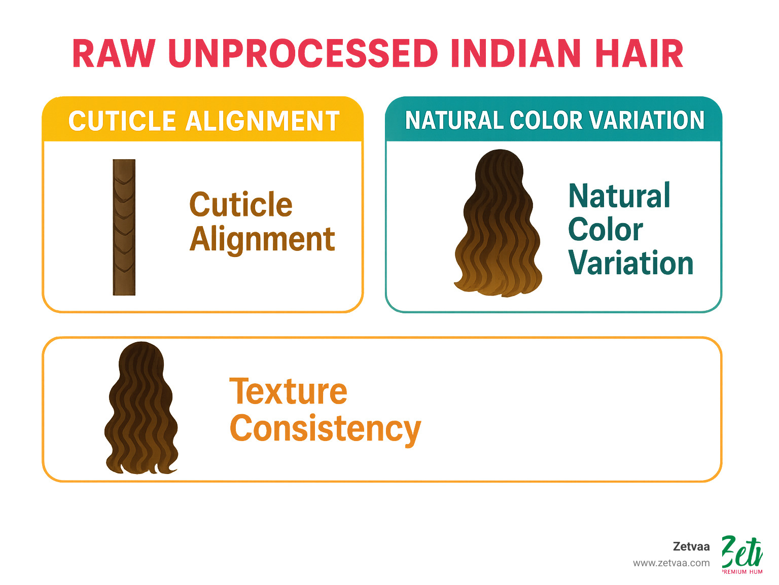 Infographic showing quality indicators for authentic raw Indian hair including cuticle alignment, natural color variation, and texture consistency - raw unprocessed indian hair infographic 