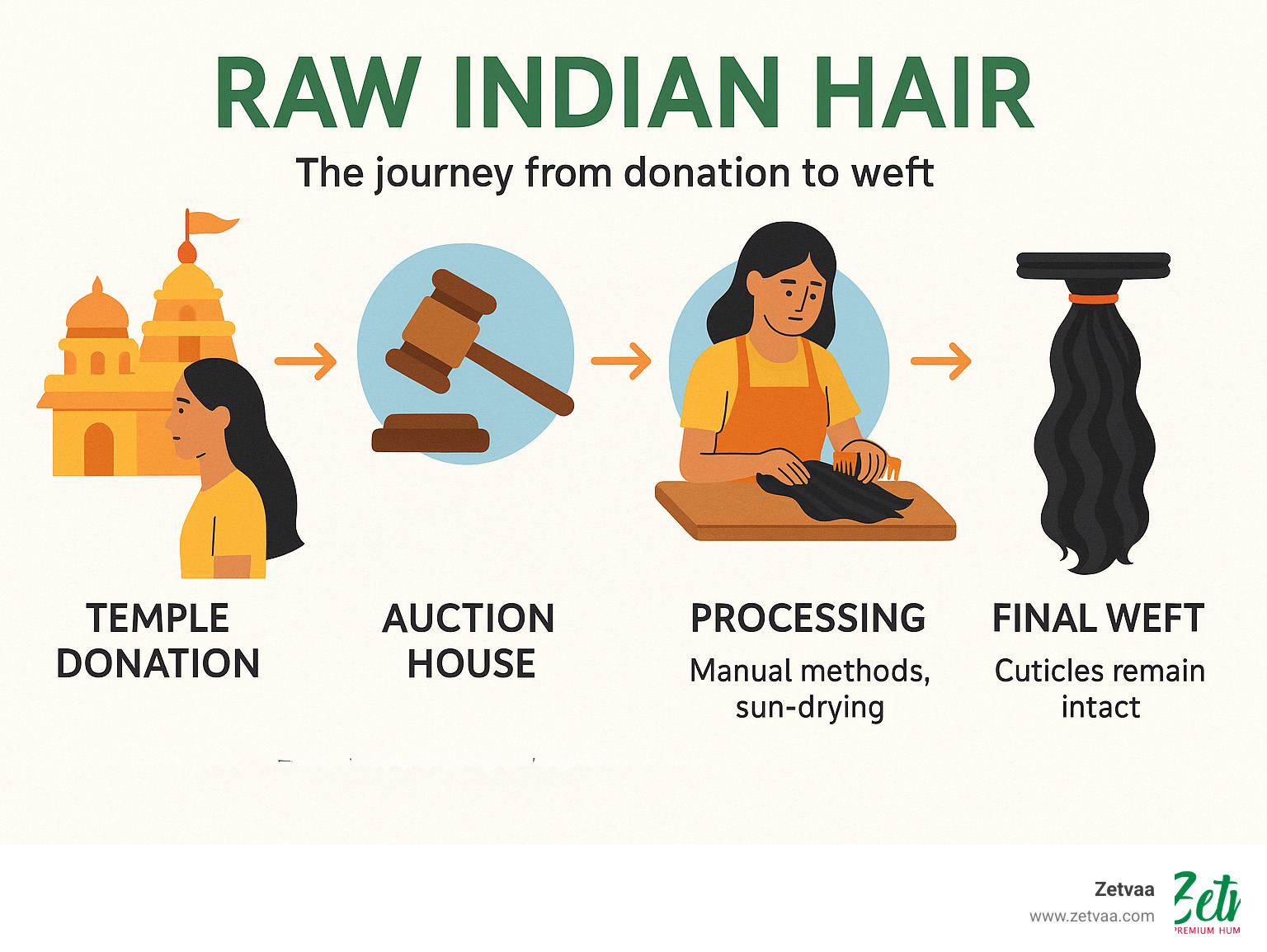 Infographic showing the journey of raw Indian hair from temple donation through auction houses to processing facilities, highlighting single-donor collection, manual processing methods, sun-drying techniques, and final weft creation with intact cuticles - raw unprocessed indian hair infographic 