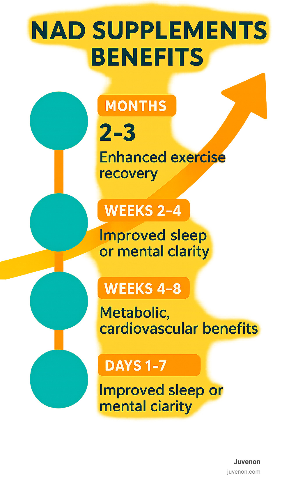 Infographic showing timeline of typical NAD supplement benefits from first week through first few months of consistent use - NAD supplements benefits infographic 