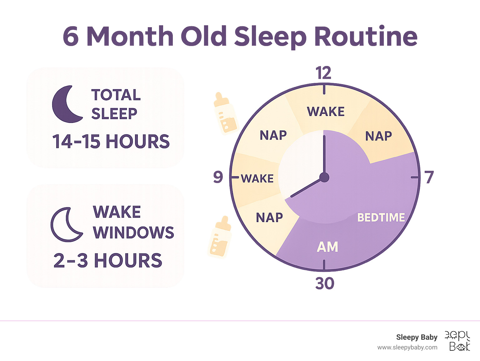 Detailed breakdown of 6-month-old daily sleep schedule showing wake windows, nap times, feeding times, and total sleep hours distributed across 24 hours - 6 month old sleep routine infographic 