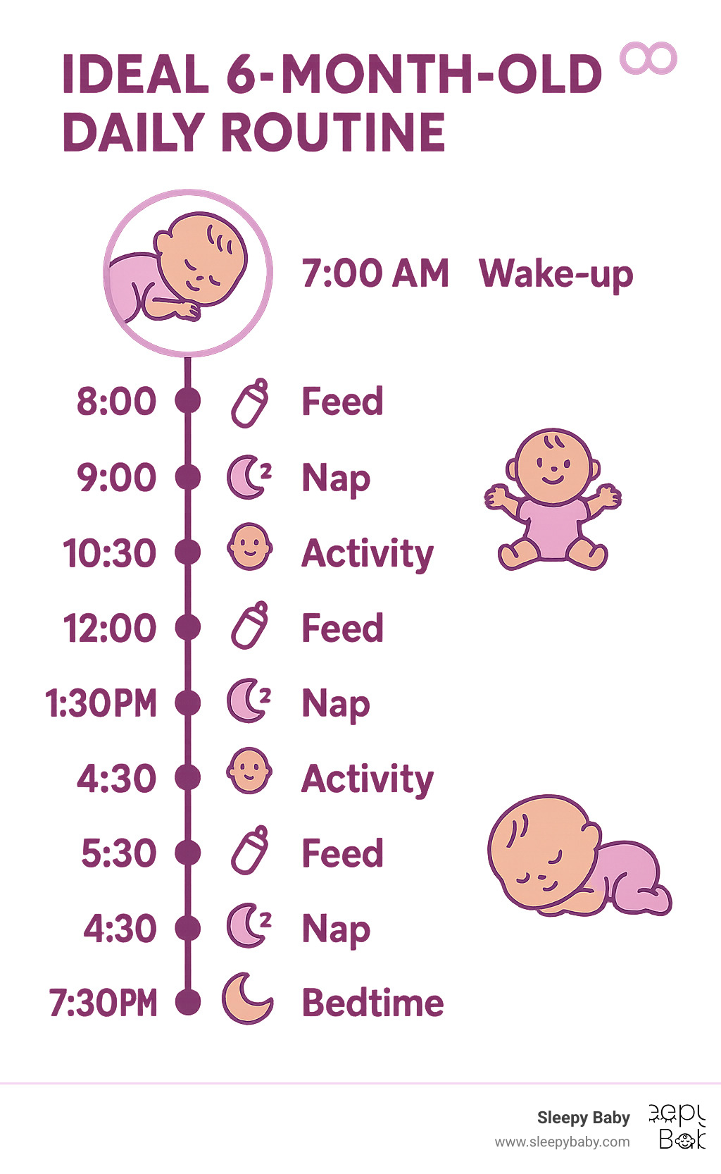 Timeline infographic showing ideal 6-month-old daily routine from 7 AM wake-up through 7:30 PM bedtime, including all naps, feeds, and activities - 6 month old sleep routine infographic 
