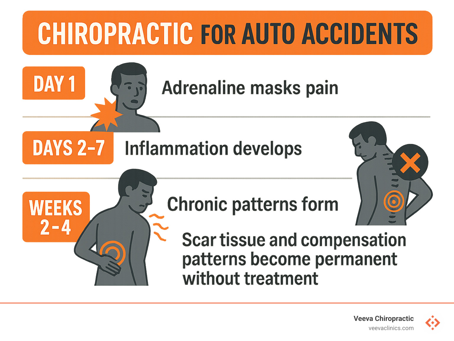 Infographic showing post-accident injury timeline: Day 1 - adrenaline masks pain, Days 2-7 - inflammation develops, Week 2-4 - chronic patterns form, Month 2+ - scar tissue and compensation patterns become permanent without treatment - chiropractic for auto accidents infographic 